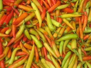 Red-and-green-chilies